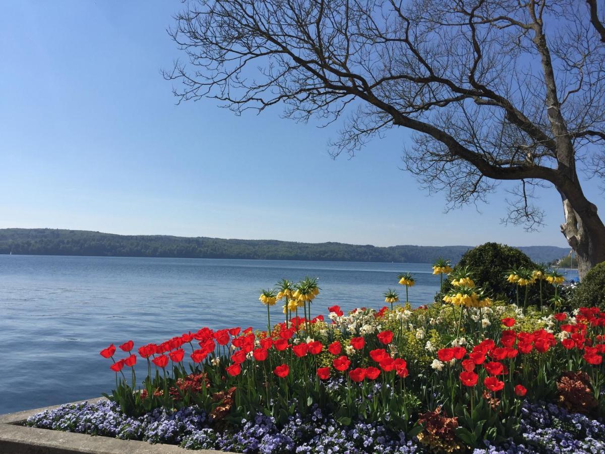 Pension Seliger Meersburg Exterior photo